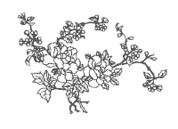 Иллюстрация к книге — Дерево красной птицы [i_004.webp]