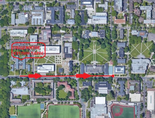 Иллюстрация к книге — Тед. Настоящая история самого знаменитого серийного убийцы Америки. Книга I [book-illustration-23.webp]