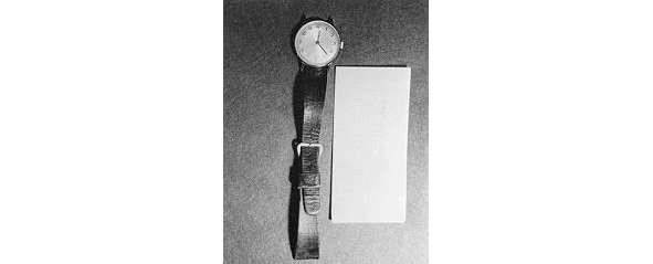 Иллюстрация к книге — Сыны Сэма. Убийцы влюбленных парочек [book-illustration-106.webp]