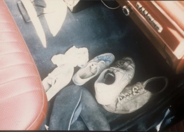 Иллюстрация к книге — Сыны Сэма. Убийцы влюбленных парочек [book-illustration-61.webp]