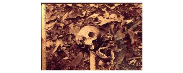 Иллюстрация к книге — Криминальные очерки. Книга III [book-illustration-90.webp]