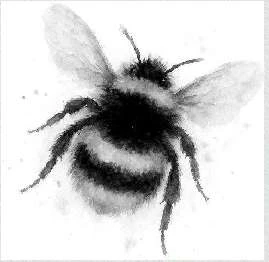 Иллюстрация к книге — Энтомология для слабонервных [book-illustration-3.webp]