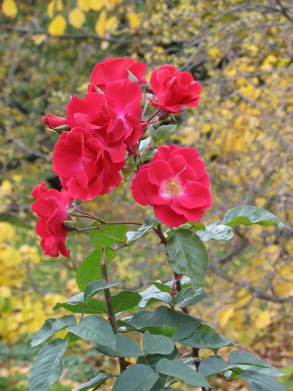 Иллюстрация к книге — Немного любви [book-illustration-9.webp]