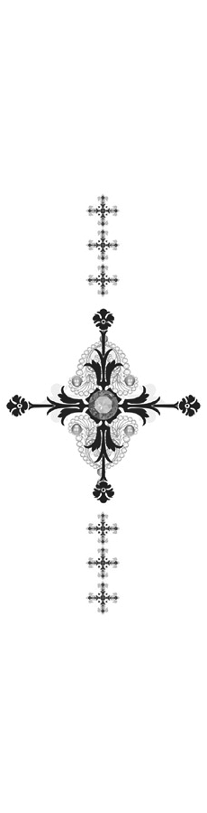 Иллюстрация к книге — Она и зверь. Том 3 [i_001.webp]