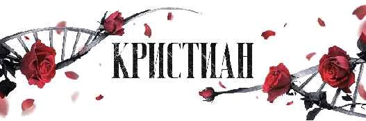 Иллюстрация к книге — Последователи [book-illustration-4.webp]