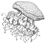 Иллюстрация к книге — Смерть заберет нас в один день [book-illustration-2.webp]