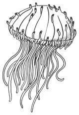 Иллюстрация к книге — Смерть заберет нас в один день [book-illustration-6.webp]