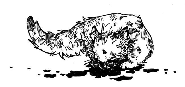 Иллюстрация к книге — Верховенский [book-illustration-8.webp]