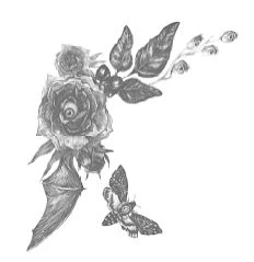 Иллюстрация к книге — Побеждая смерть. Livor Mortis [book-illustration-12.webp]