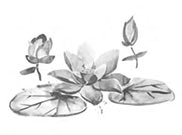 Иллюстрация к книге — Луна освещает путь в тысячу ли. Том 1 [book-illustration-1.webp]