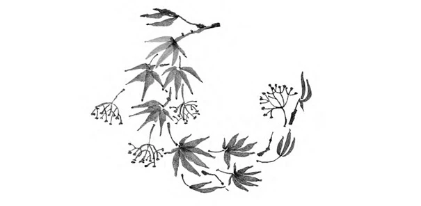 Иллюстрация к книге — Когда отцветает камелия [book-illustration-13.webp]