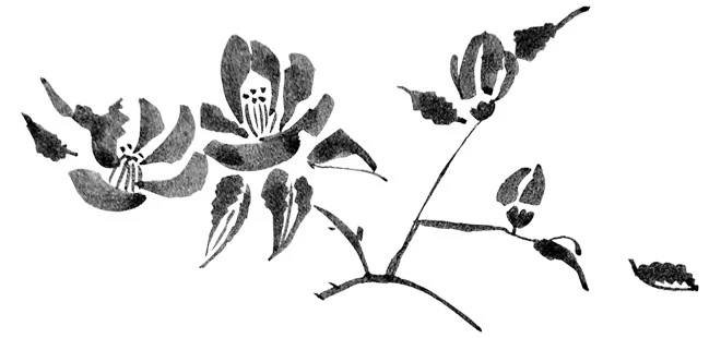 Иллюстрация к книге — Когда отцветает камелия [book-illustration-17.webp]