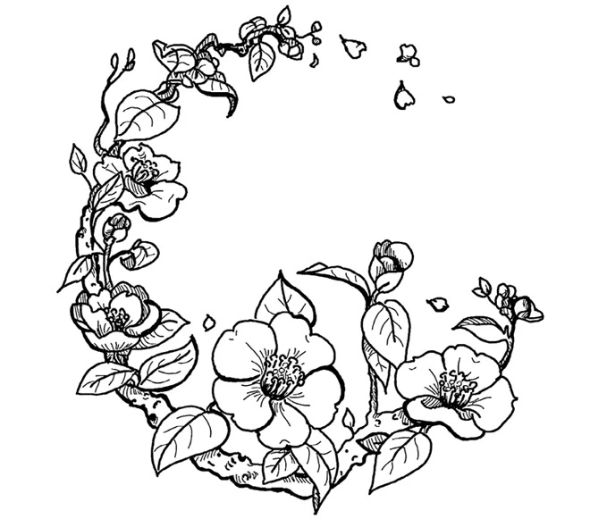 Иллюстрация к книге — Когда отцветает камелия [book-illustration-3.webp]