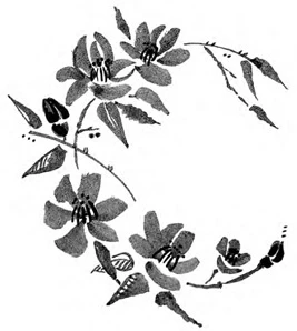 Иллюстрация к книге — Когда отцветает камелия [book-illustration-31.webp]