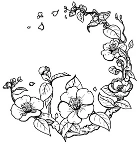 Иллюстрация к книге — Когда отцветает камелия [book-illustration-47.webp]