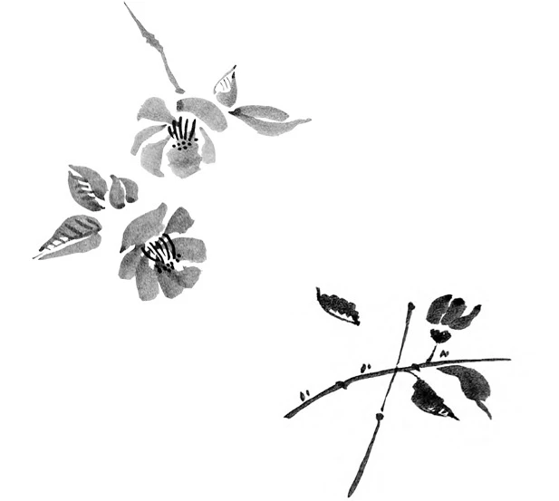 Иллюстрация к книге — Когда отцветает камелия [book-illustration-54.webp]