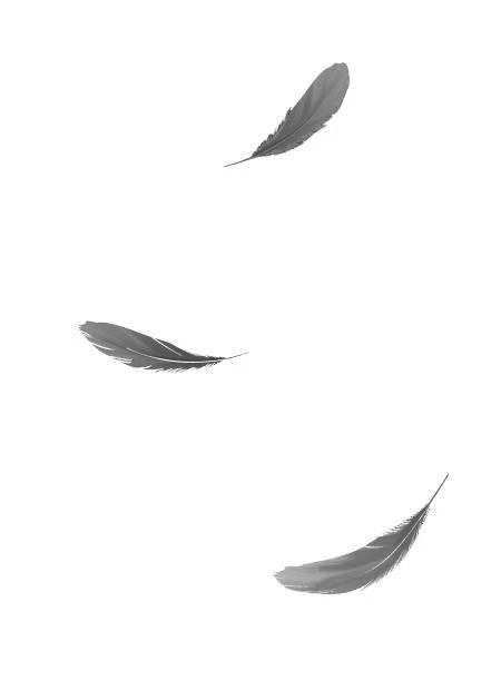 Иллюстрация к книге — Птица, влюбленная в клетку [book-illustration-1.webp]