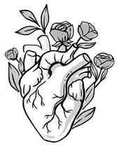 Иллюстрация к книге — Птица, лишенная голоса [book-illustration-24.webp]