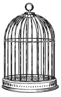 Иллюстрация к книге — Тьма по соседству [book-illustration-29.webp]