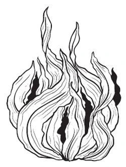 Иллюстрация к книге — Тьма по соседству [book-illustration-41.webp]