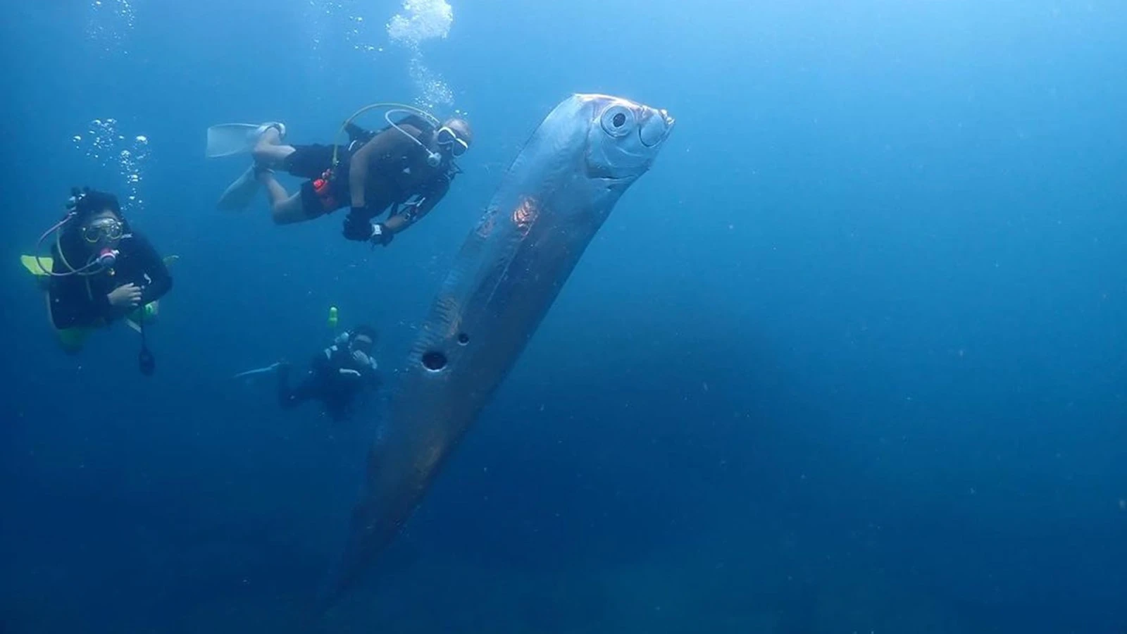 Иллюстрация к книге — Брак без выхода. Мне не нужна умная жена [book-illustration-1.webp]