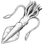 Иллюстрация к книге — Голос прибоя [book-illustration-1.webp]