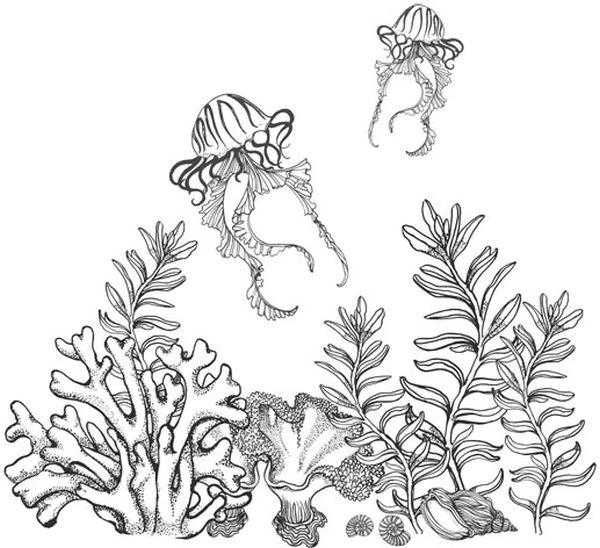 Иллюстрация к книге — Голос прибоя [book-illustration-15.webp]