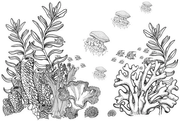 Иллюстрация к книге — Голос прибоя [book-illustration-23.webp]