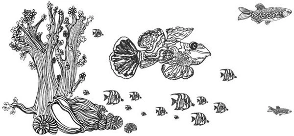 Иллюстрация к книге — Голос прибоя [book-illustration-25.webp]