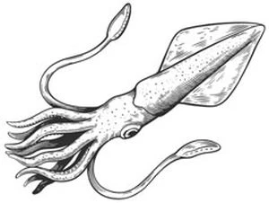 Иллюстрация к книге — Голос прибоя [book-illustration-26.webp]