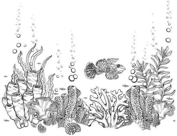 Иллюстрация к книге — Голос прибоя [book-illustration-28.webp]