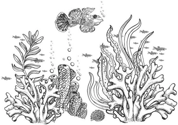 Иллюстрация к книге — Голос прибоя [book-illustration-29.webp]