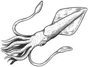 Иллюстрация к книге — Голос прибоя [book-illustration-37.webp]