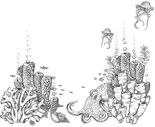 Иллюстрация к книге — Голос прибоя [book-illustration-39.webp]