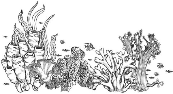 Иллюстрация к книге — Голос прибоя [book-illustration-40.webp]