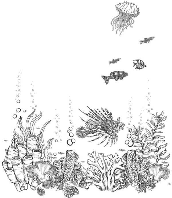 Иллюстрация к книге — Голос прибоя [book-illustration-42.webp]