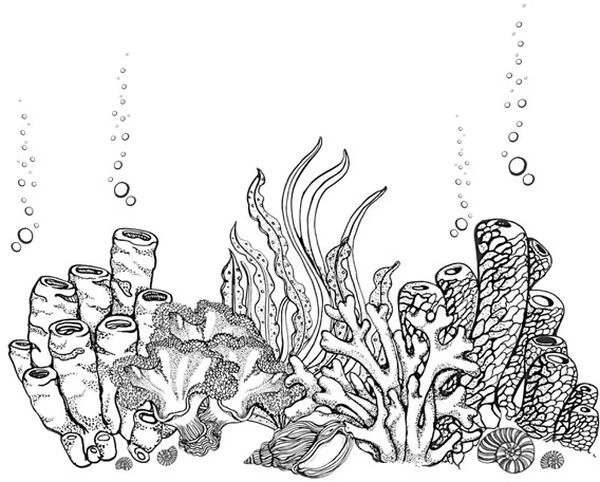 Иллюстрация к книге — Голос прибоя [book-illustration-45.webp]