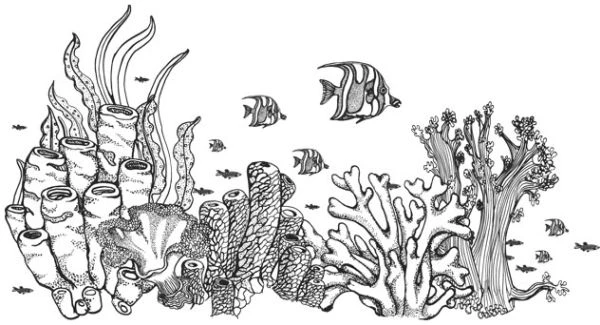 Иллюстрация к книге — Голос прибоя [book-illustration-8.webp]