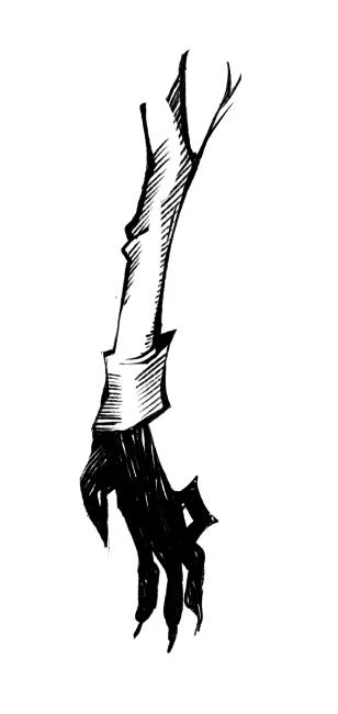 Иллюстрация к книге — Сонный сад [book-illustration-15.webp]