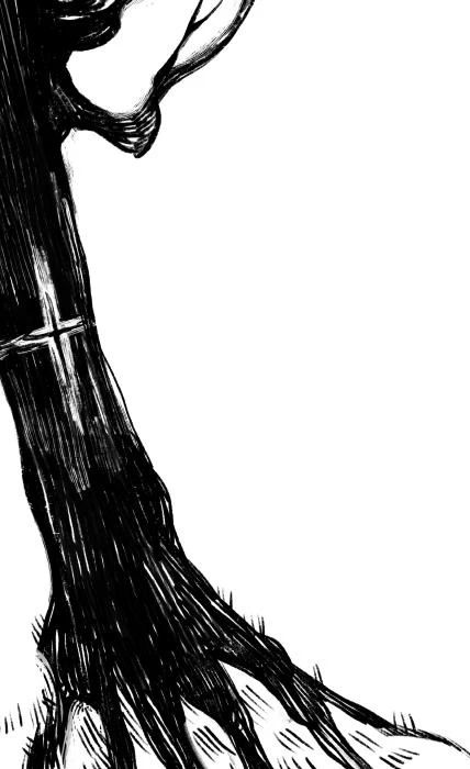 Иллюстрация к книге — Сонный сад [book-illustration-20.webp]