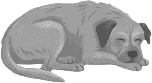 Иллюстрация к книге — Очень плохие вдовы [book-illustration-1.webp]