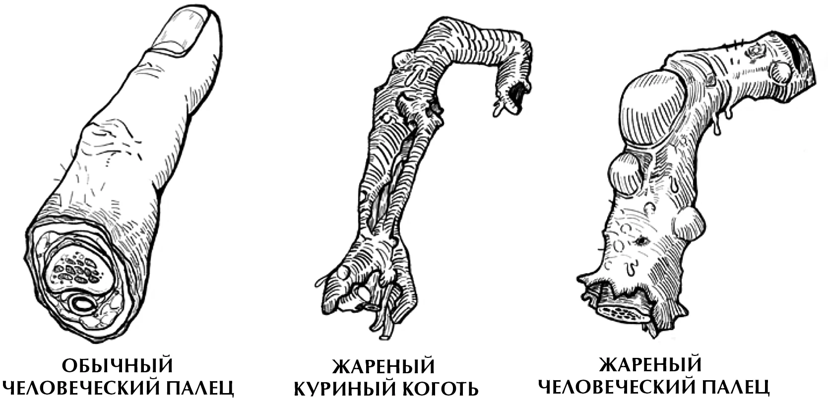 Иллюстрация к книге — Одиннадцатый палец [book-illustration-1.webp]