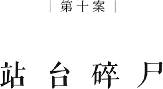 Иллюстрация к книге — Немая улика [book-illustration-11.webp]