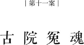 Иллюстрация к книге — Немая улика [book-illustration-12.webp]