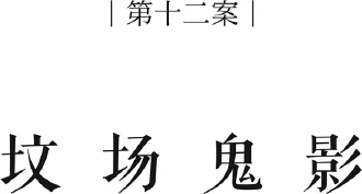 Иллюстрация к книге — Немая улика [book-illustration-13.webp]