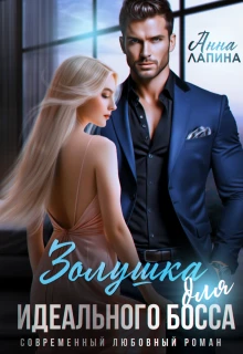 Книга Золушка для идеального босса