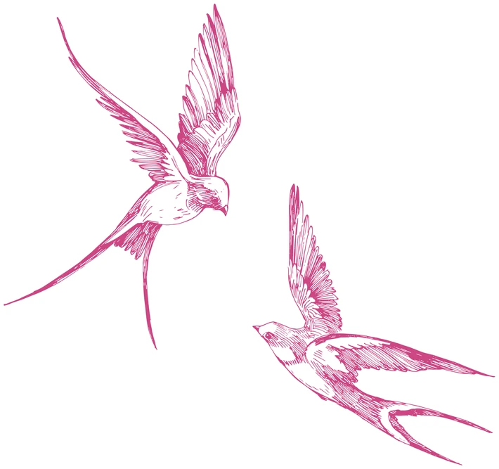 Иллюстрация к книге — Шёпот. Игра началась [book-illustration-21.webp]