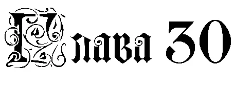 Иллюстрация к книге — Заставь меня согрешить [book-illustration-8.webp]