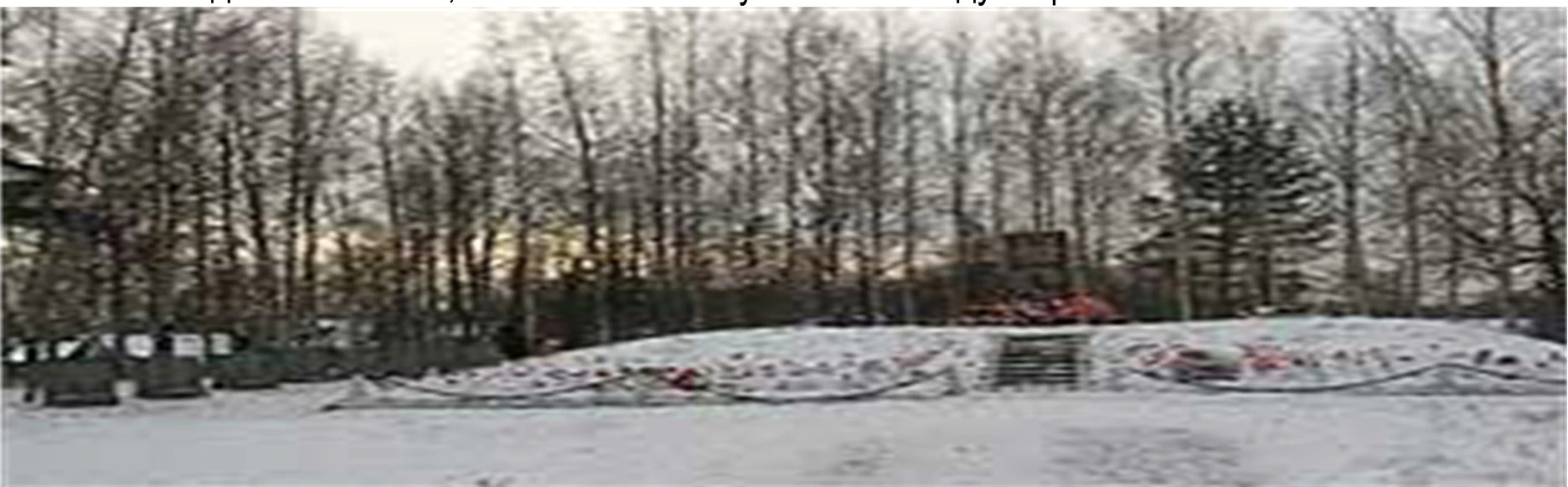 Иллюстрация к книге — Живые! Помните погибших моряков! Книга 2 [book-illustration-31.webp]