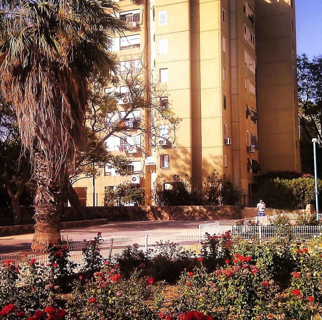 Иллюстрация к книге — Человеки [book-illustration-10.webp]